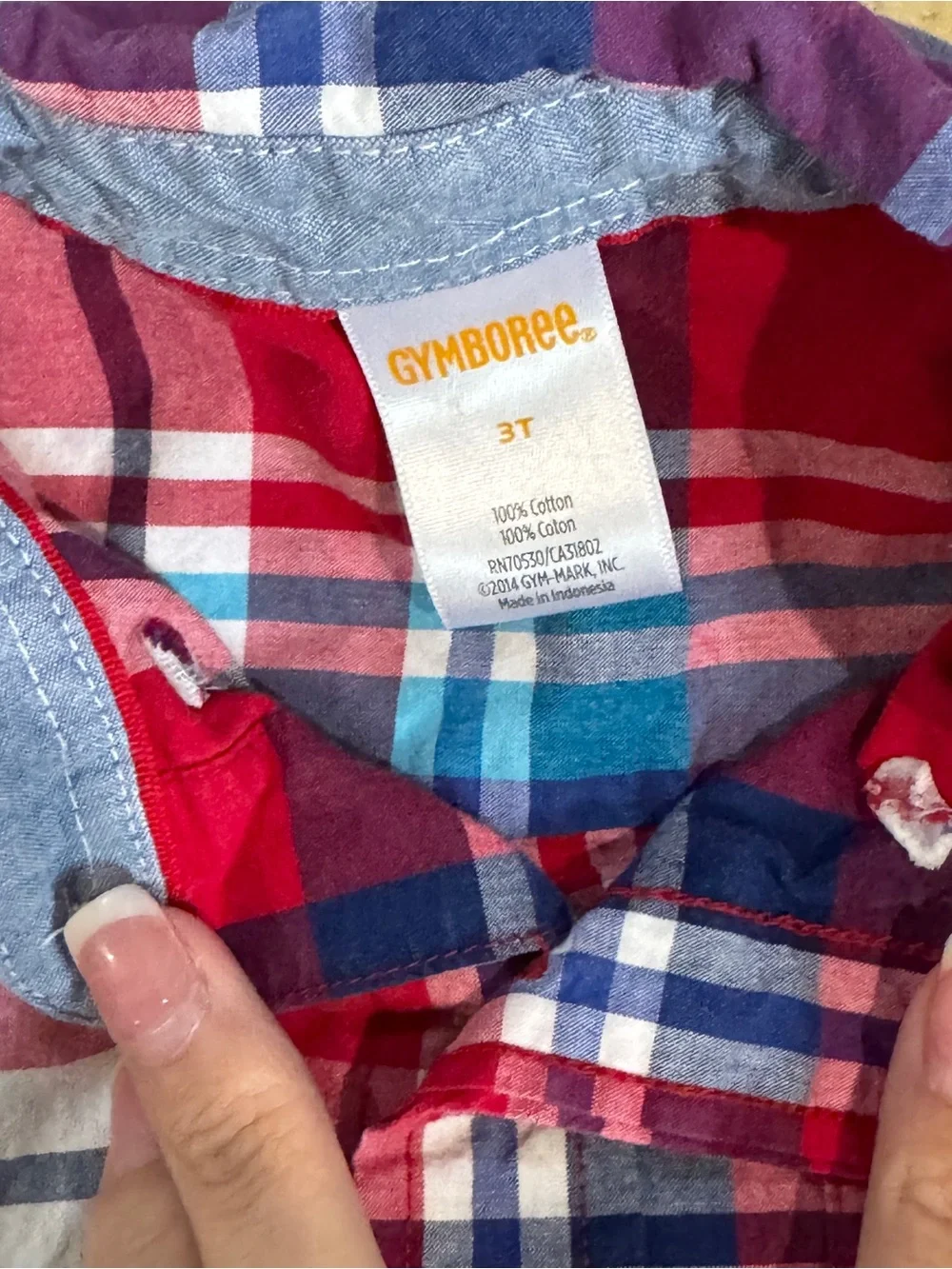 Gymboree Red & Blue Plaid Button-Down Shirt